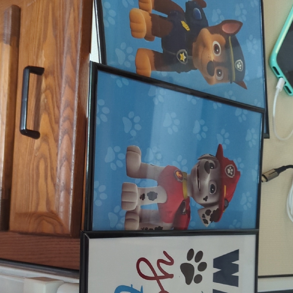 Paw Patrol Bathroom Decor